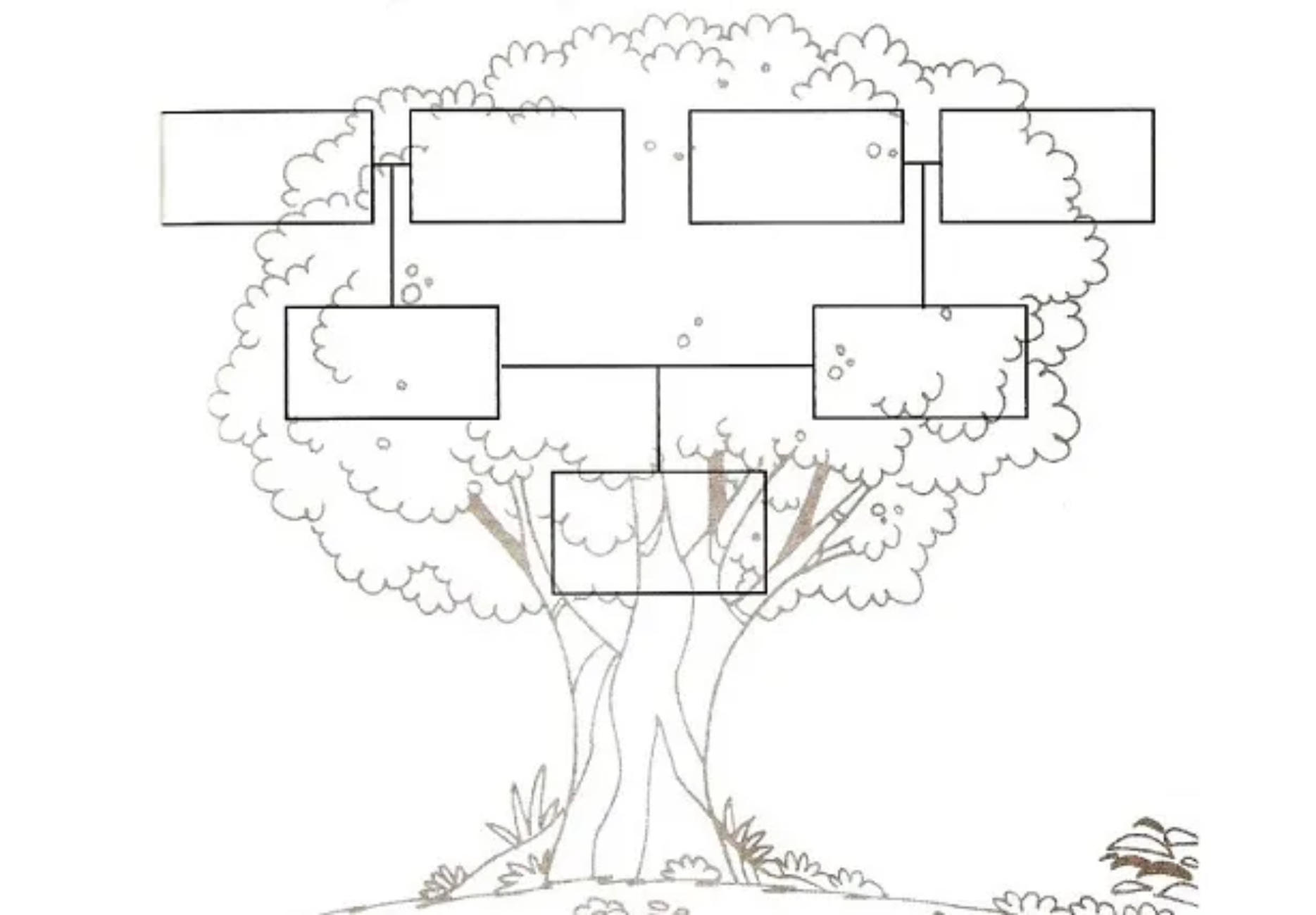 Family tree coloring pages - Preschool and Primary - Aluno On