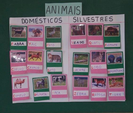 Atividade Veterinário Pinte Animais - Atividades - Smartkids  Atividades  animais, Animais, Animais silvestres e domesticos