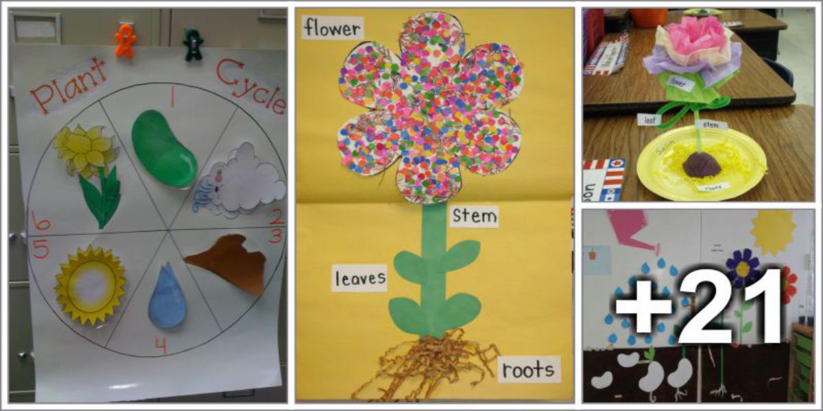 25 Parts of a flower craft for preschoolers 
