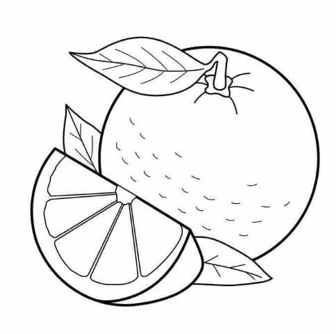 Desenhos de Frutas para Imprimir e Colorir  Fruit coloring pages, Free  kids coloring pages, Coloring pages