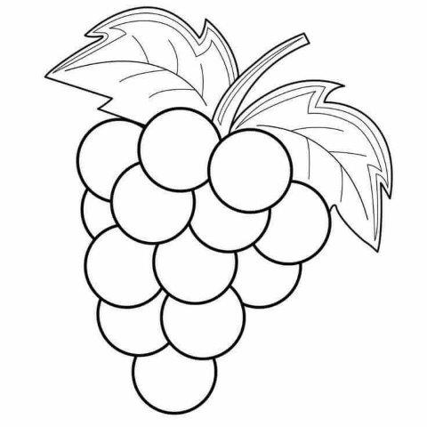 Desenho de frutas para colorir