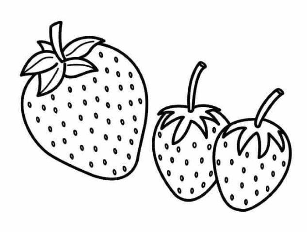 Frutas para colorir  Frutas para colorear, Verduras dibujo