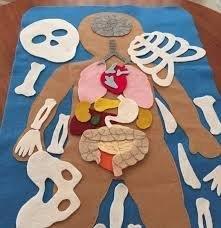 30 Body parts art and craft for preschool - Preschool and Primary