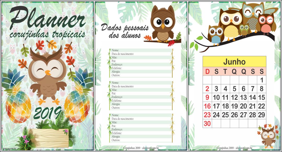 Planner Corujinhas tropicais 2019